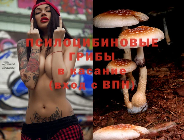 героин Алзамай