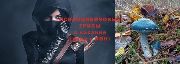 героин Алзамай