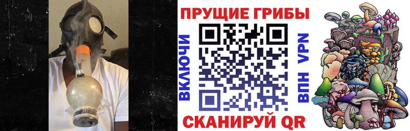 дарк нет официальный сайт даркнет сайт Луза Галлюциногенные грибы мухоморы